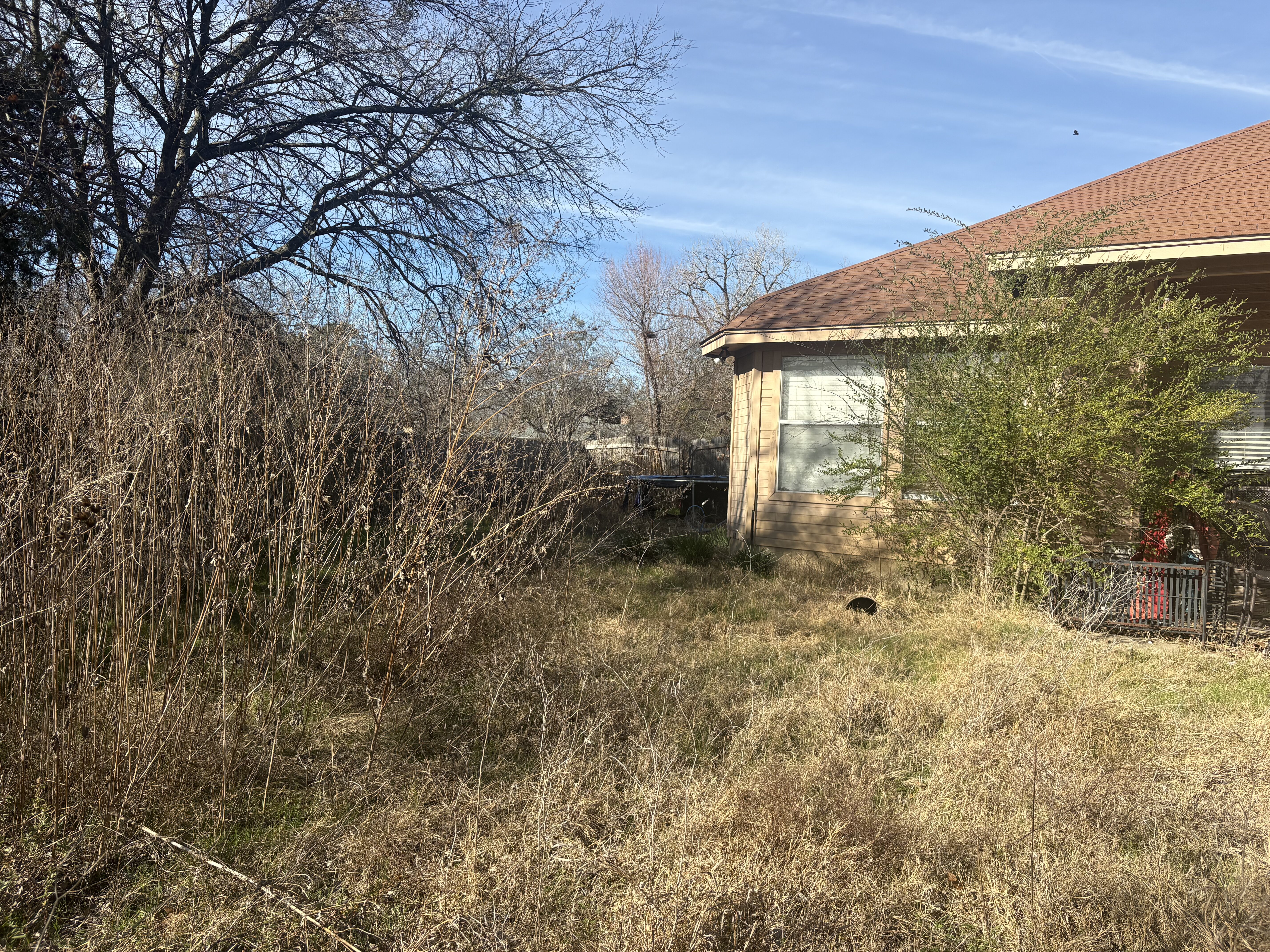 Backyard showing lot size