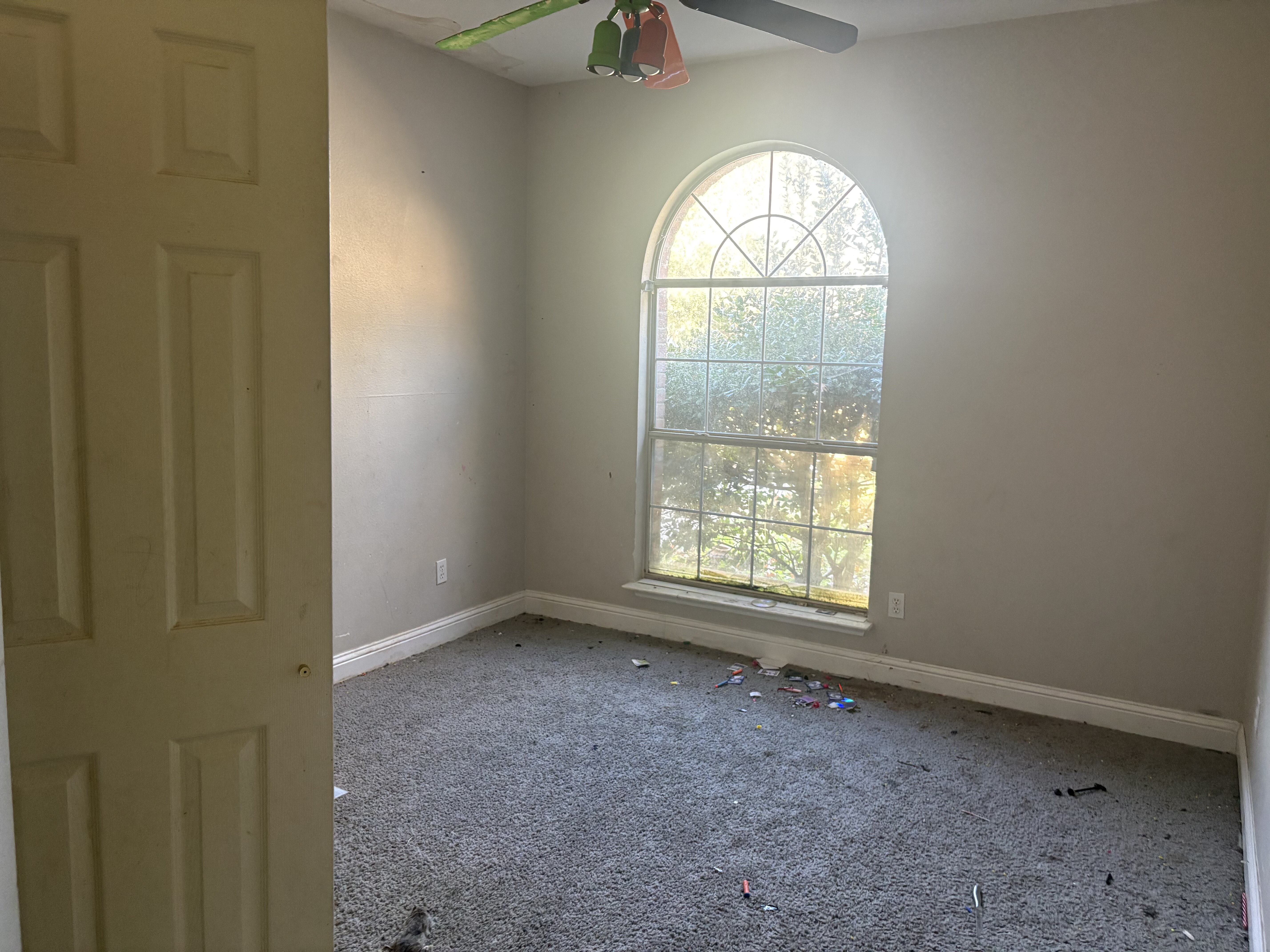 Backyard and lot view