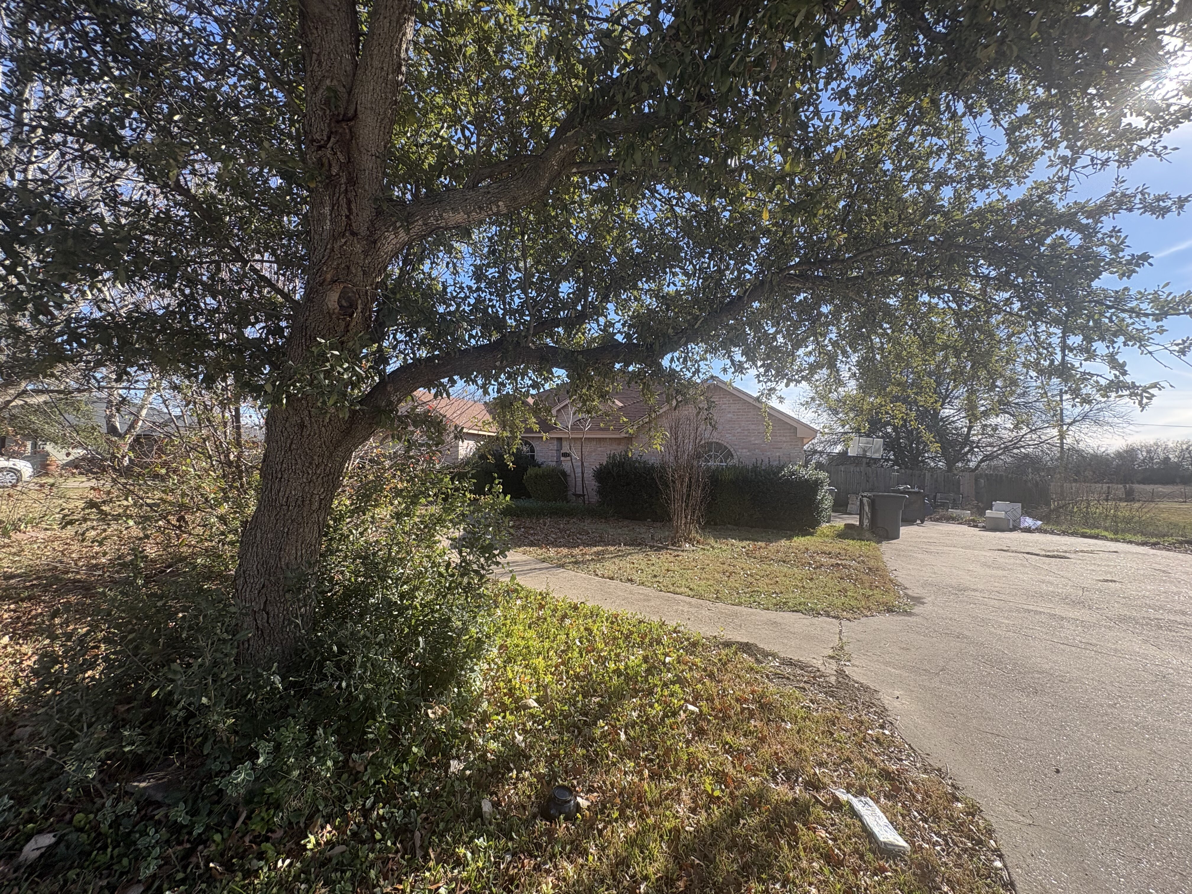 Property grounds and landscaping